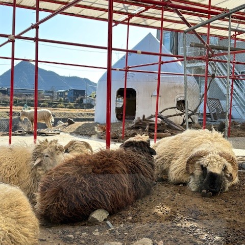 2026  tamaki niime村 入口編